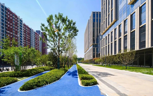 实拍图2