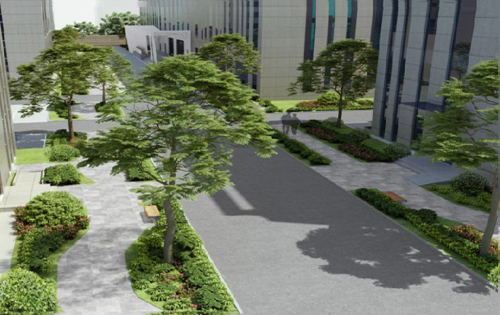 霍KING实拍图3