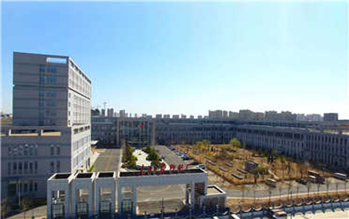实拍图1
