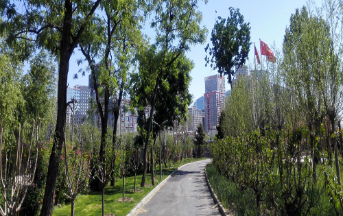 万利中心绿化