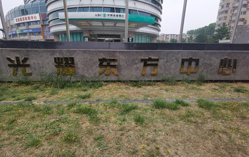 实拍图1