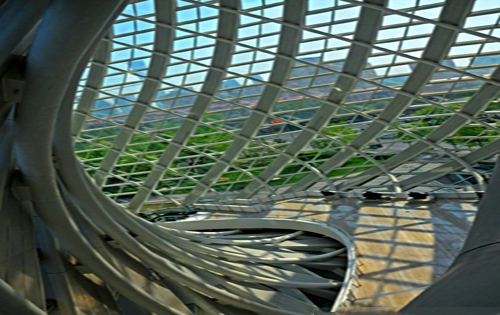 凤凰中心实拍图1