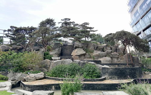 实拍图3